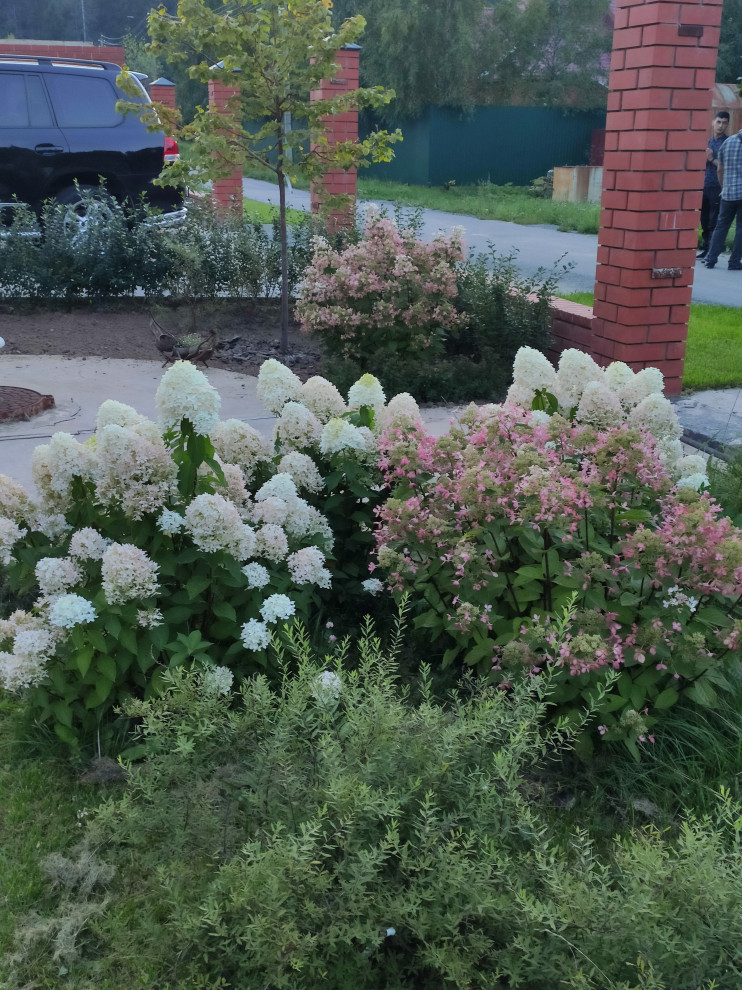 "Мурановские кружева"