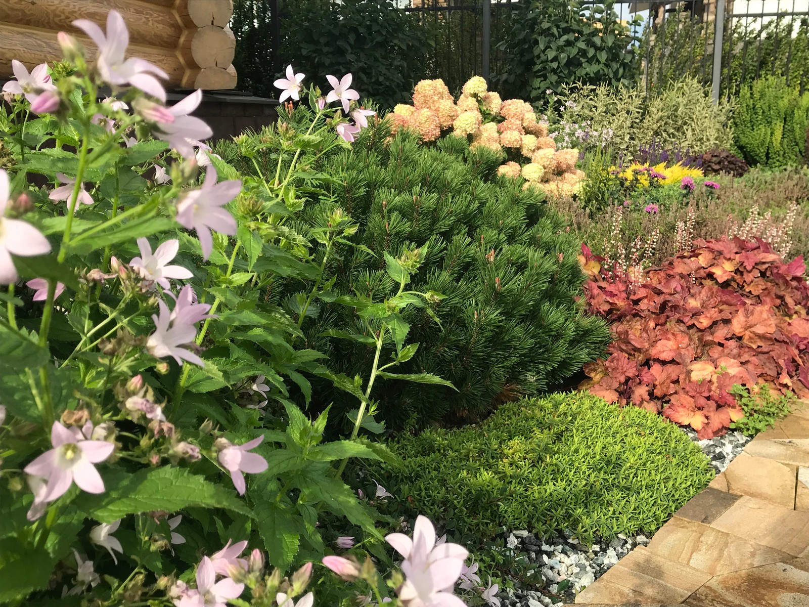 Легкий фьюжн 0.25 га