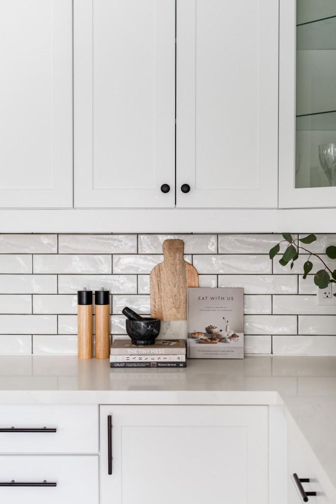 Kitchen - transitional kitchen idea in Toronto