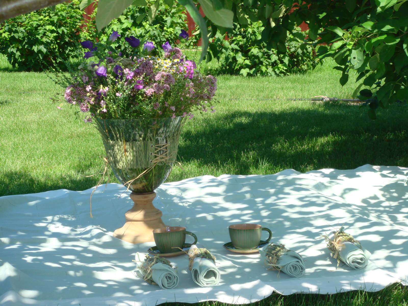 Завтрак на траве