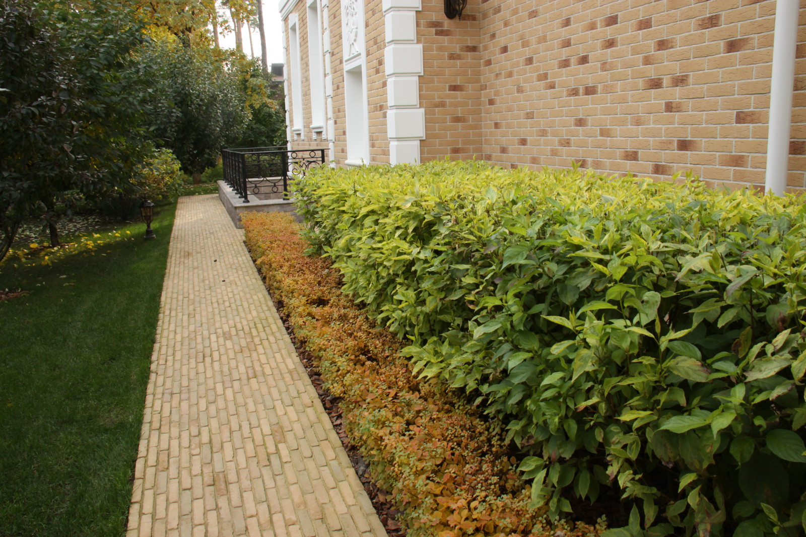 "Fairy Garden.Сад под дубами"