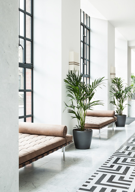 The Maple Building: Reception contemporary-entre