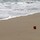 tina_campbell1251