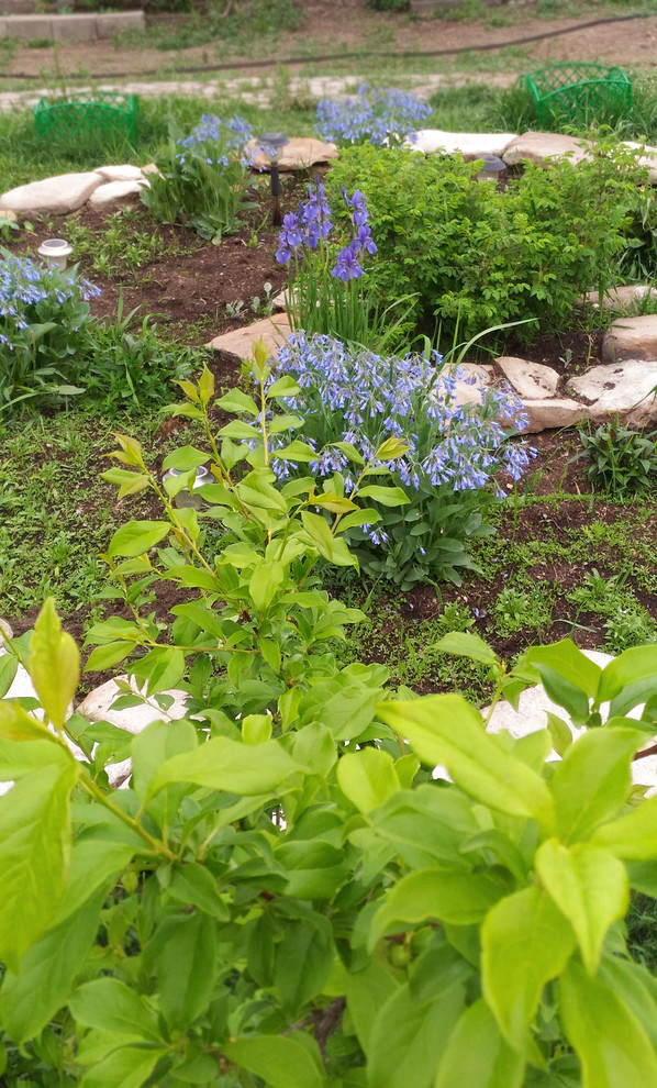 Серия "Любимый дом"Вид из окна