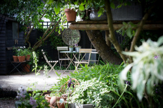 Yard of the Week: Plants and Salvaged Finds Beautify a Shady Spot (17 photos)