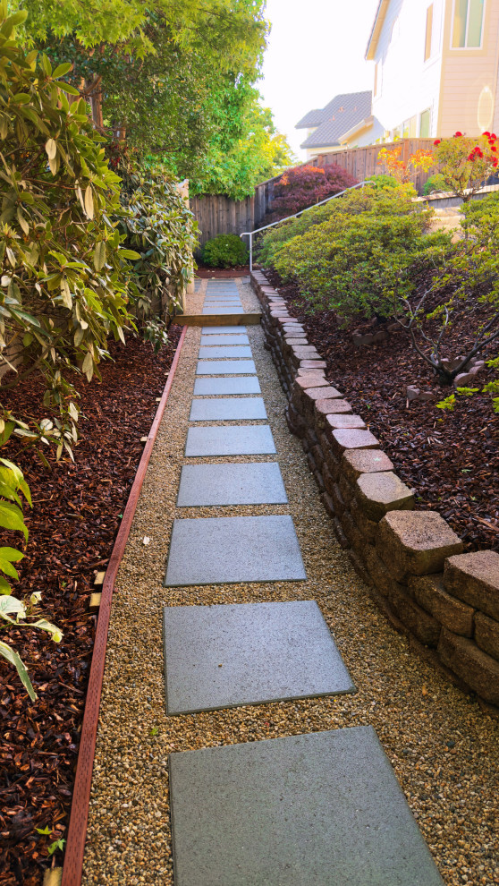 Complete Backyard & Landscape Renovation