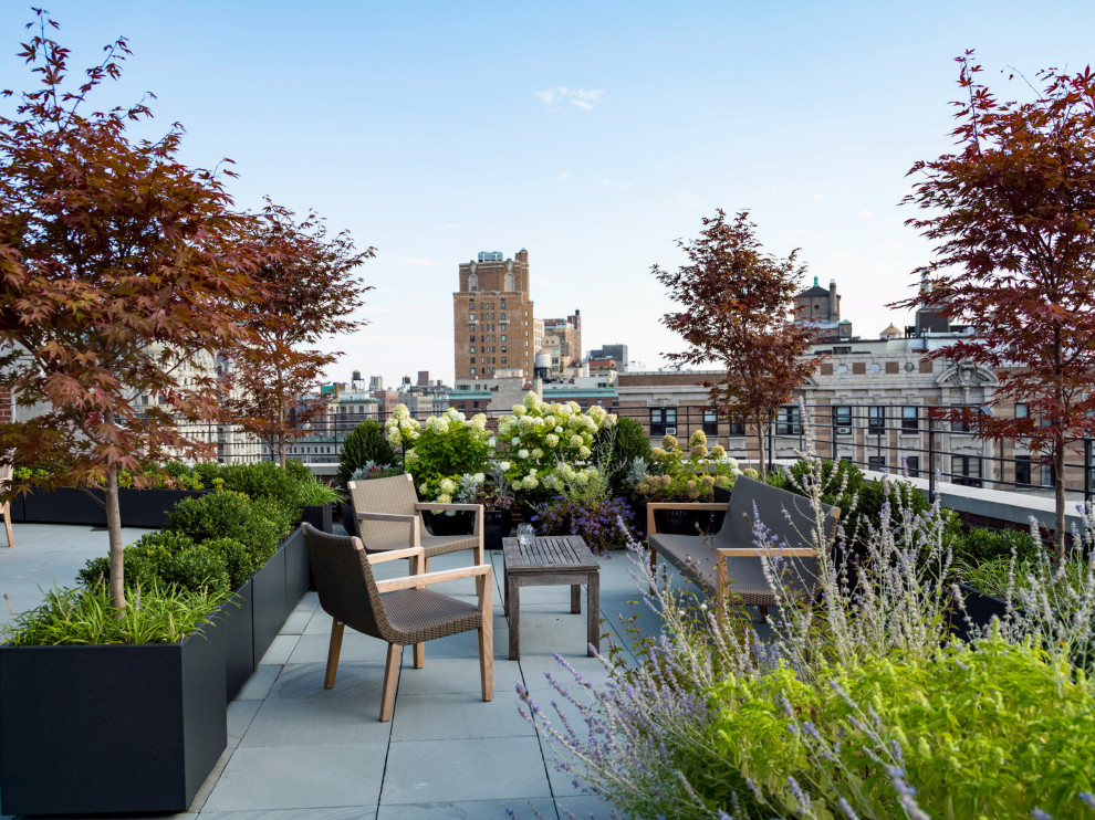 Example of a trendy rooftop rooftop deck container garden design in New York
