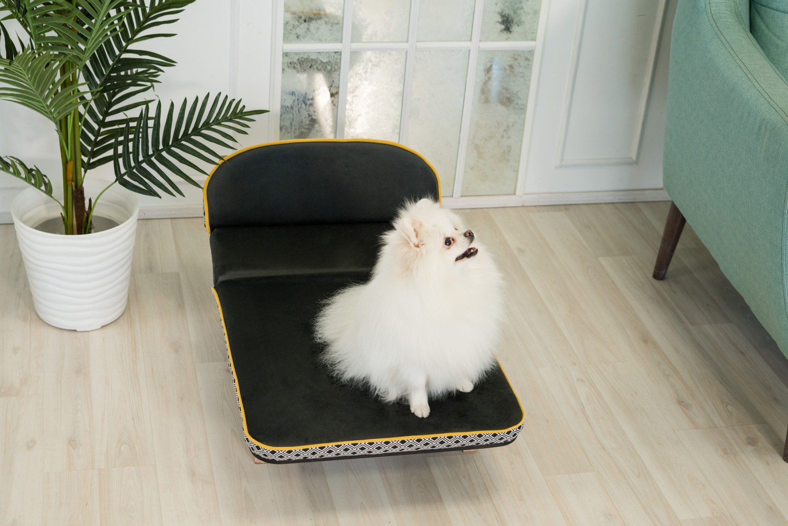 Авторская софа для собак - LIMA