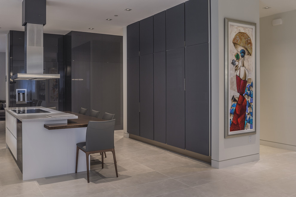 Kitchen - contemporary gray floor kitchen idea with flat-panel cabinets, gray cabinets, an island and gray countertops