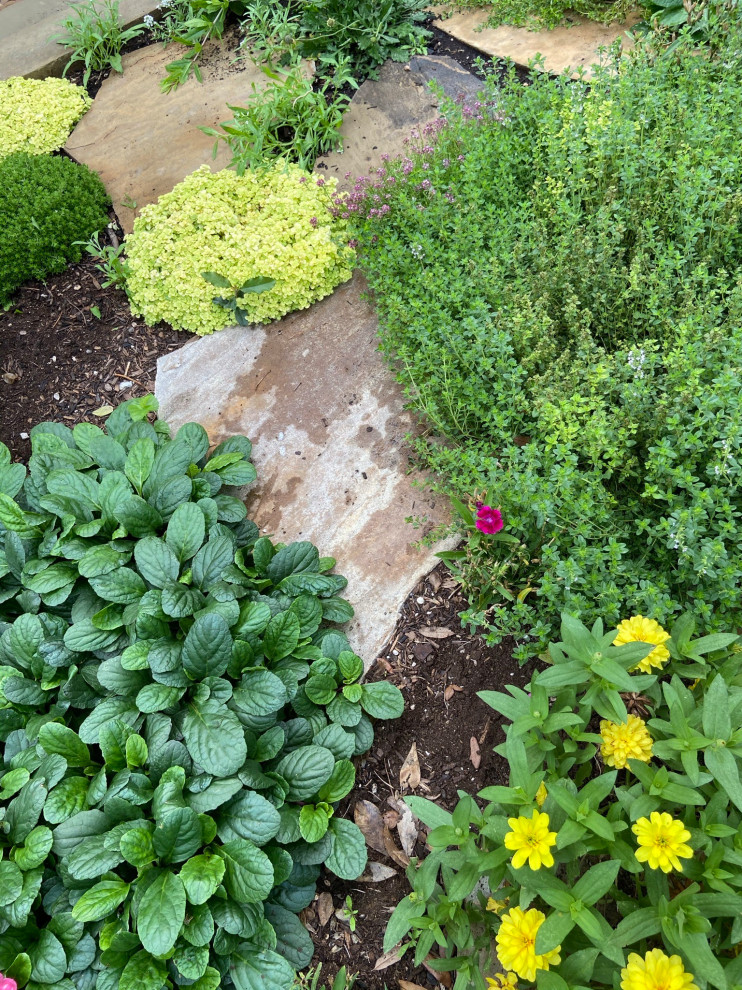 На фото: солнечный засухоустойчивый сад среднего размера на боковом дворе в современном стиле с садовой дорожкой или калиткой, хорошей освещенностью и покрытием из каменной брусчатки с
