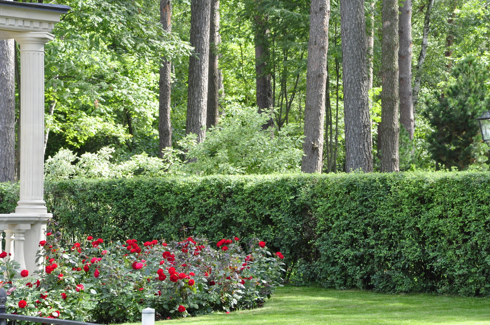 кп "Романово" - Уход за садом - 100% качество