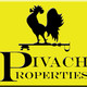 Pivach Properties