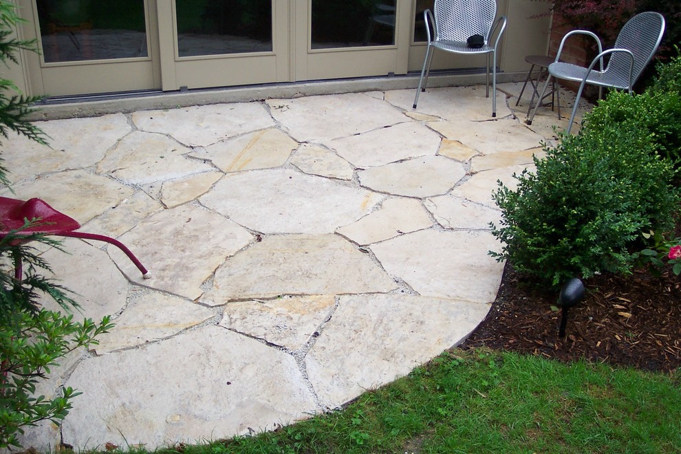 Design ideas for a mid-sized transitional backyard patio in Chicago with natural stone pavers and no cover.