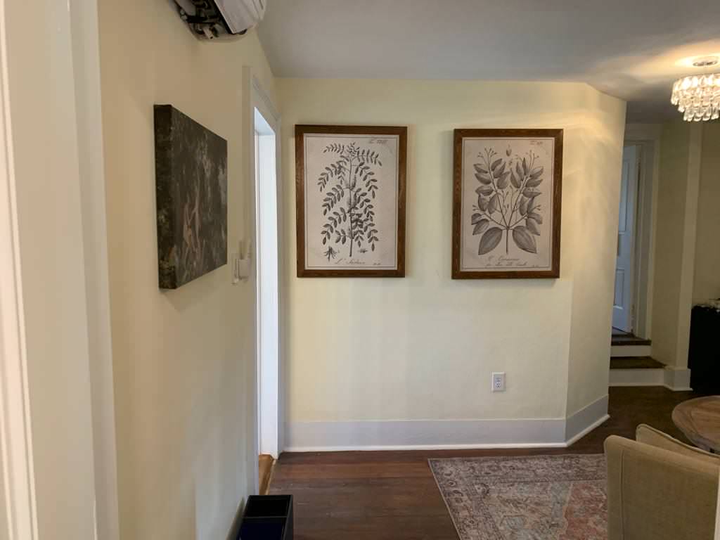B&B Hawksbill Luray