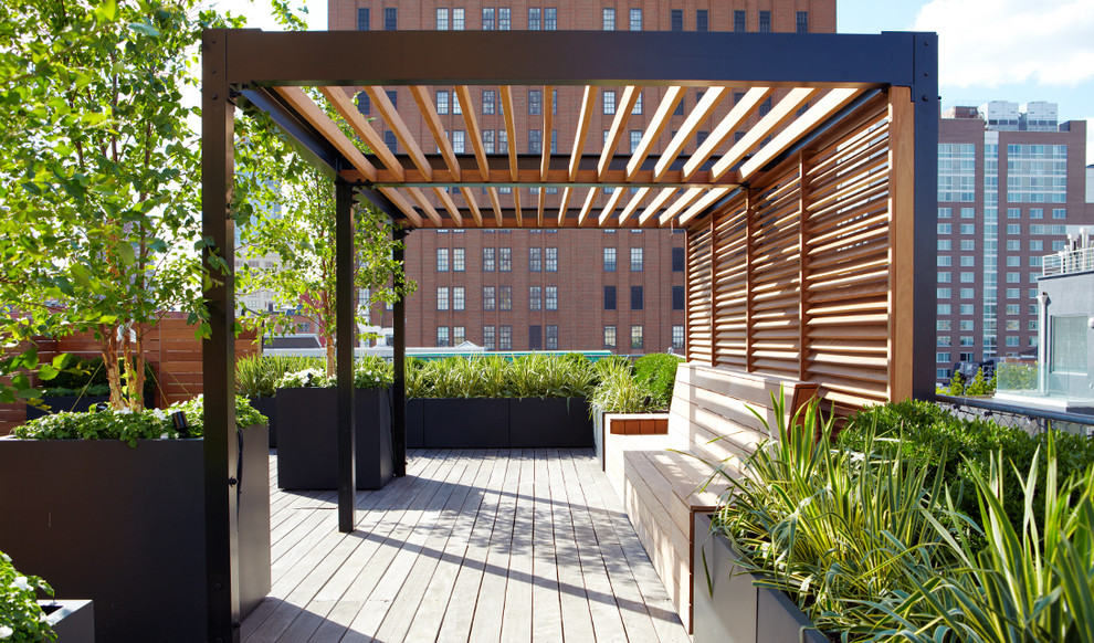 Photo of a large contemporary rooftop deck in New York with a container garden and a pergola.