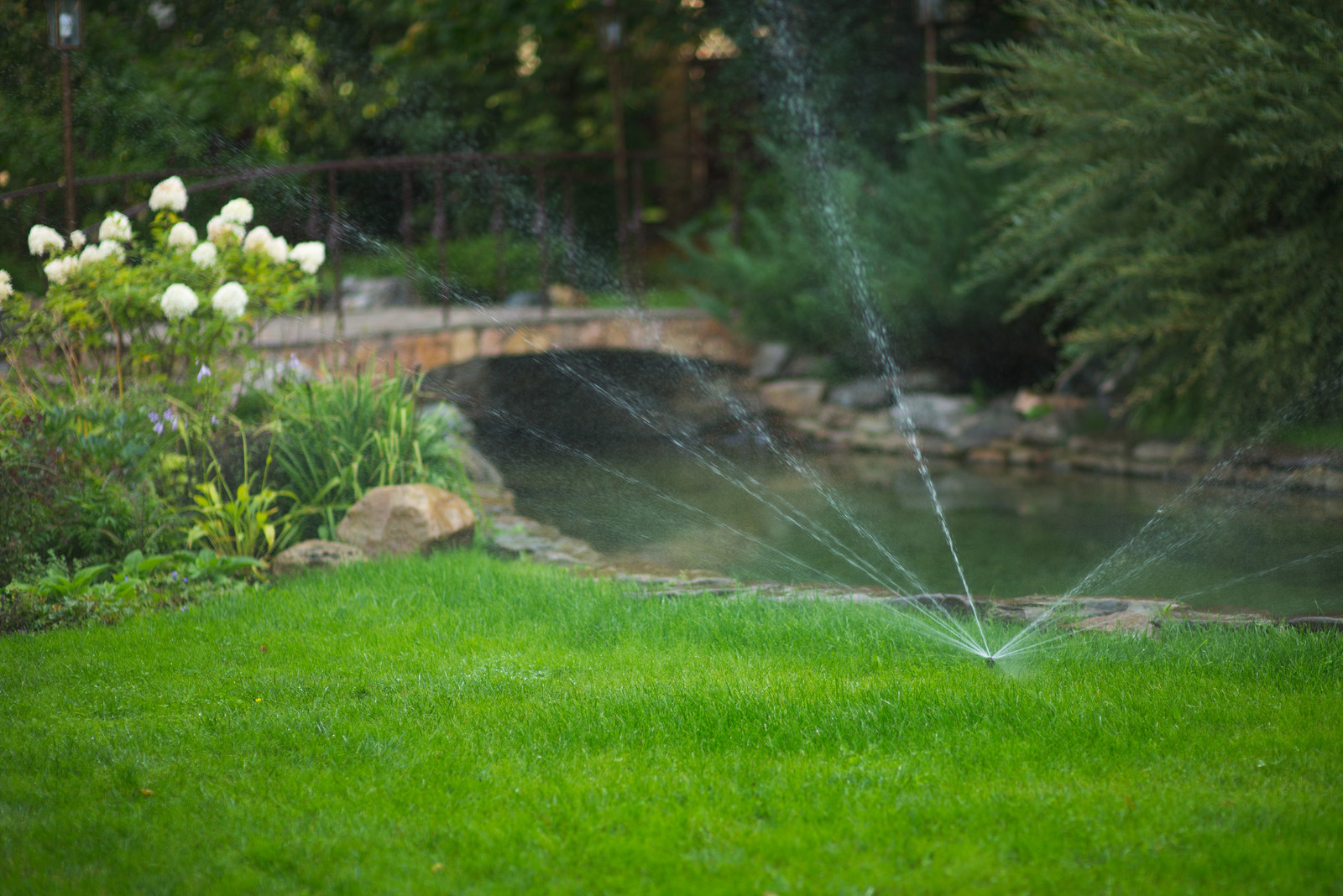 Регулярная классика