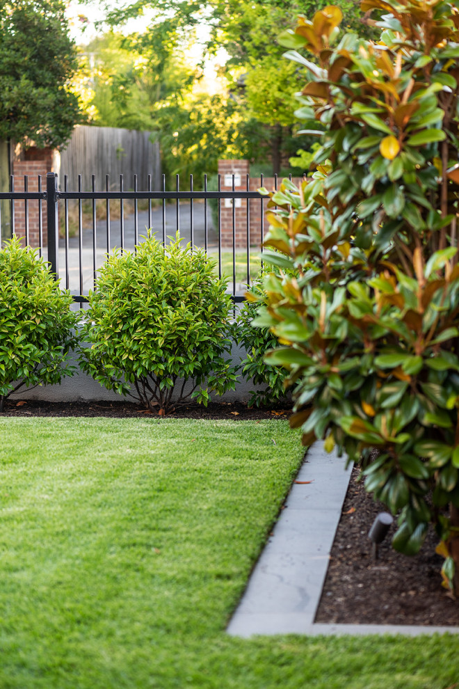 This is an example of a mid-sized contemporary front yard garden in Melbourne with with lawn edging.