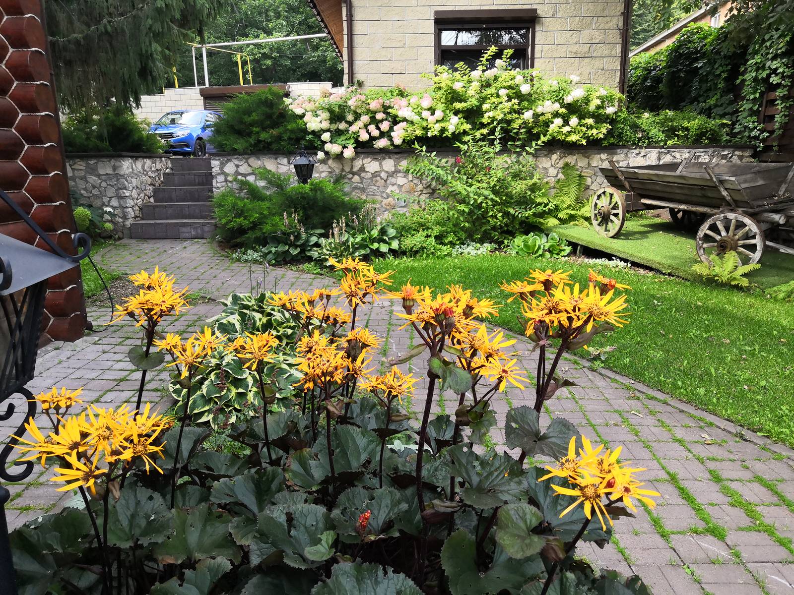 Среди Жигулевских гор