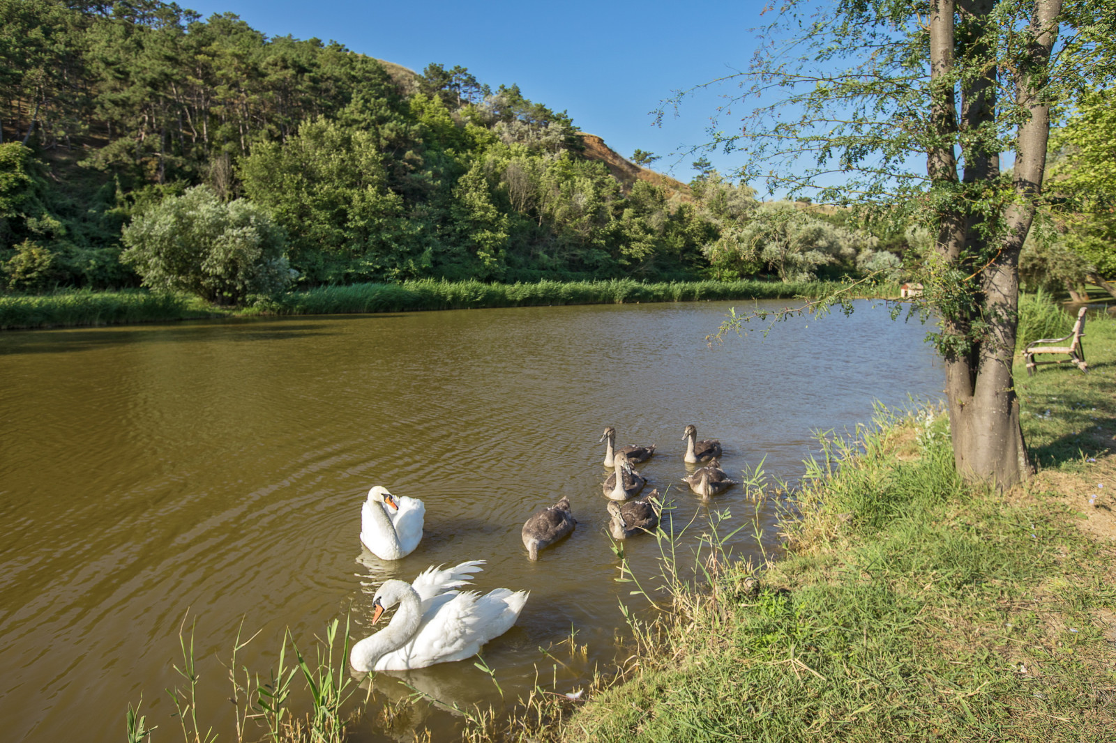 Съемка санатория "Черноморец"