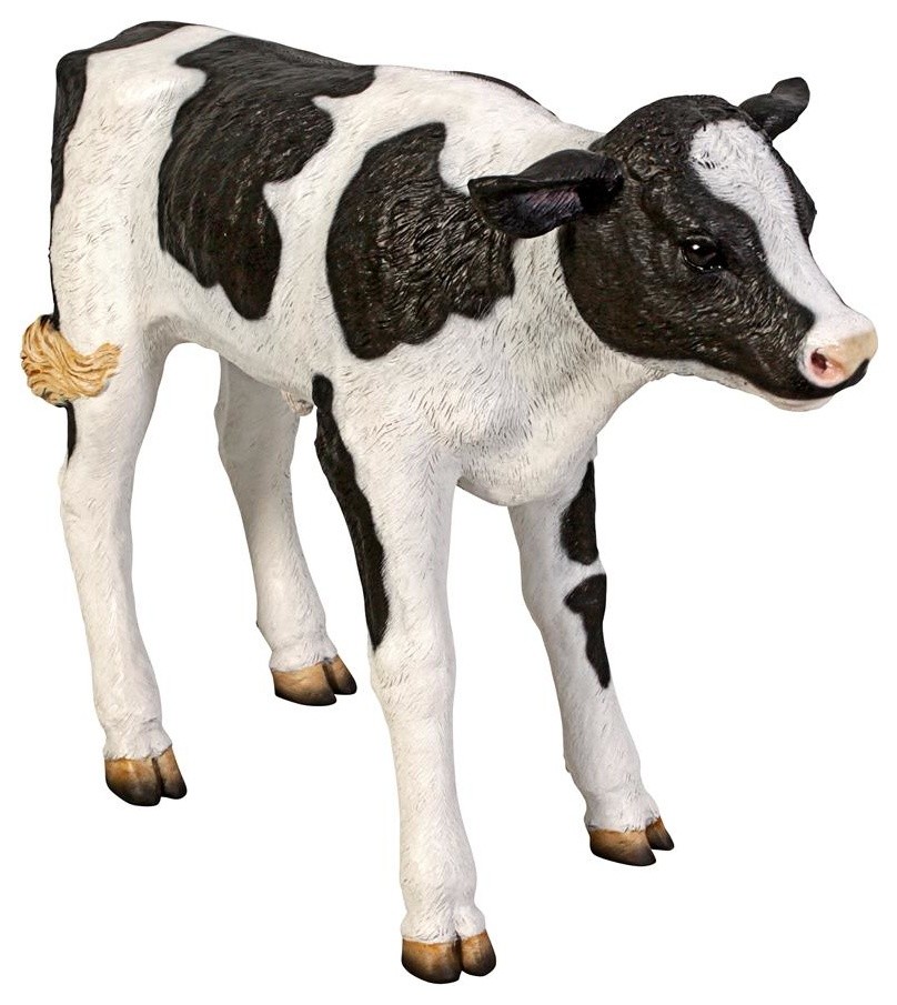 Buttercup the LifeSize Holstein Calf Dairy Cow Statue Farmhouse