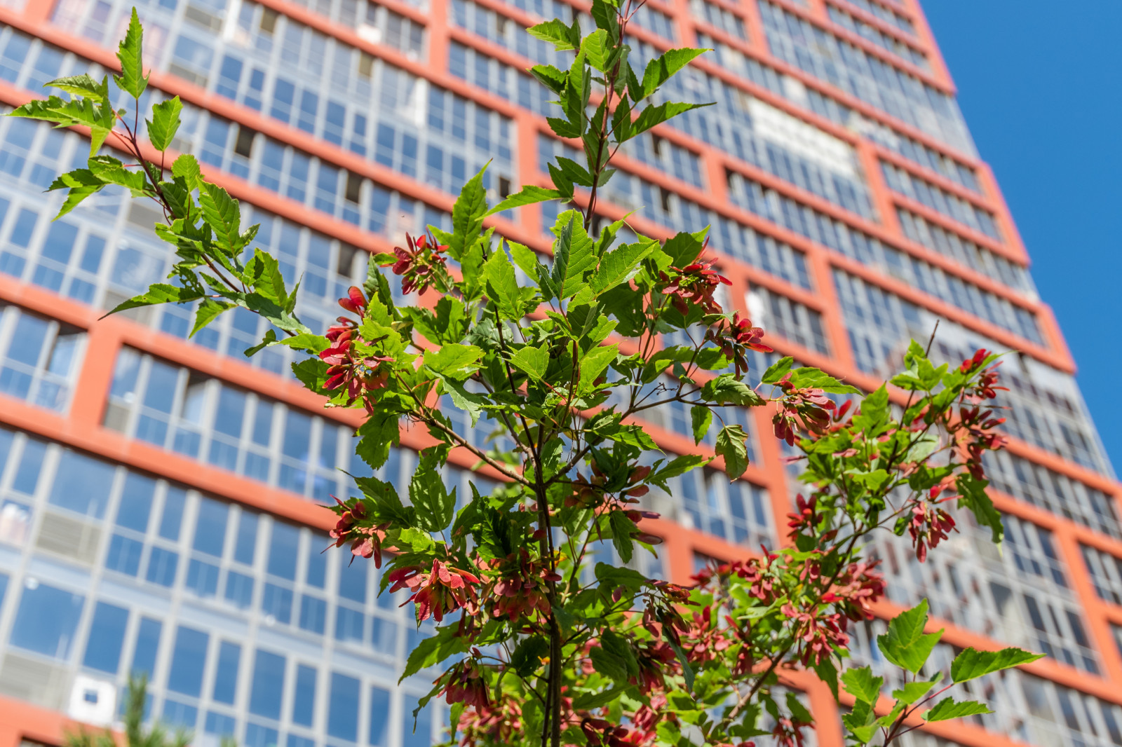 Виртуальный тур ЖК "Ясный берег"