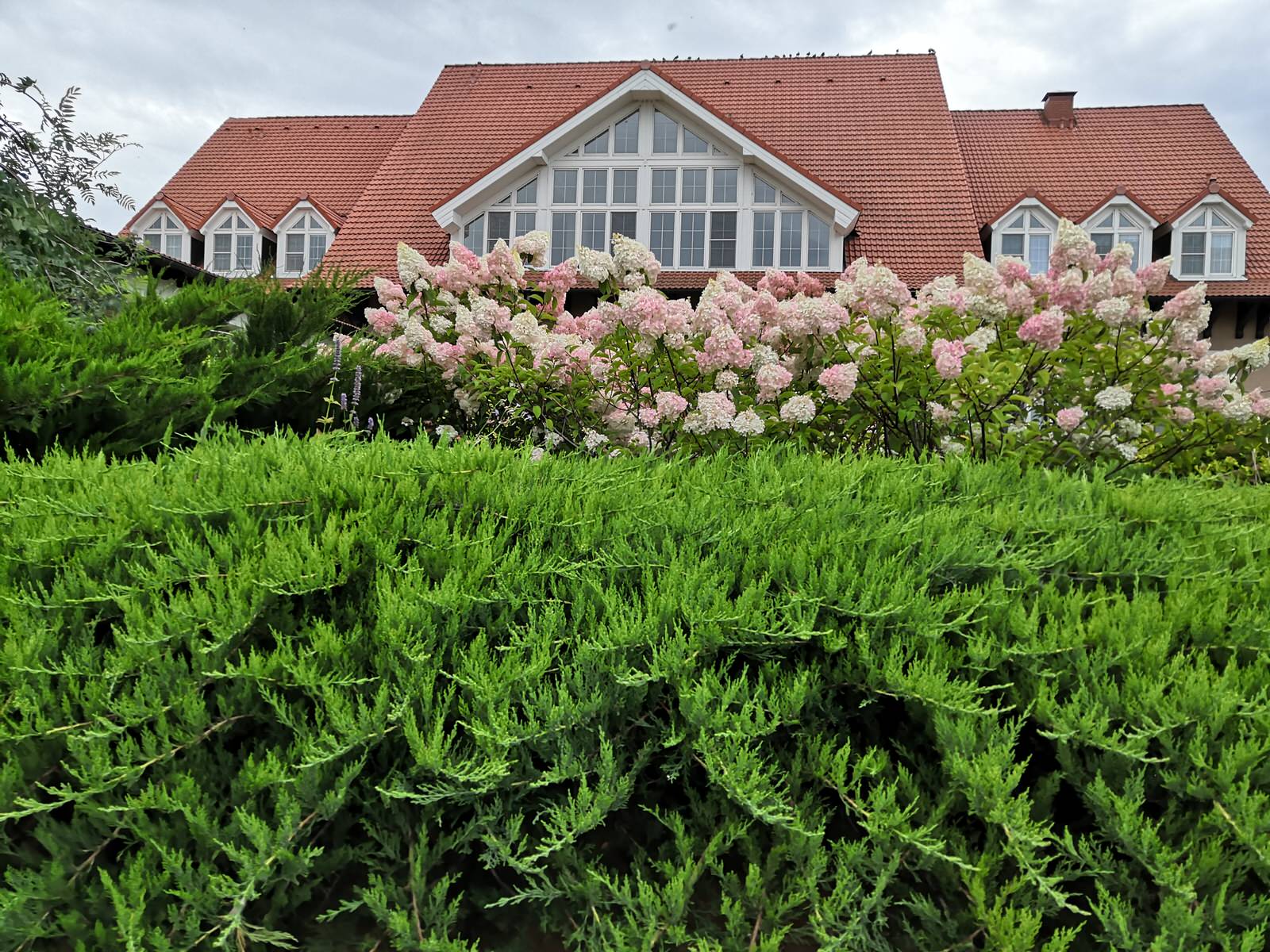 Сад на двух ярусах