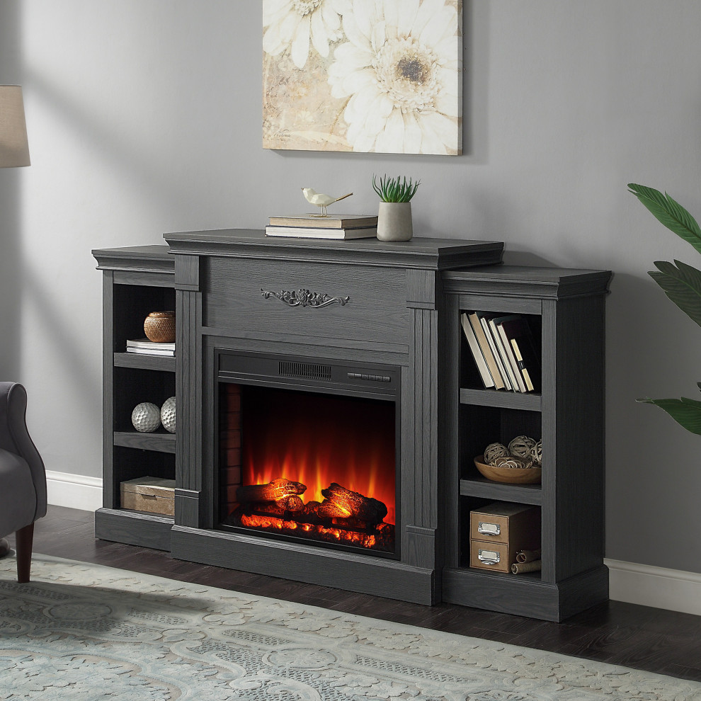 Freestanding Electric Fireplace Bookshelves Traditional Indoor