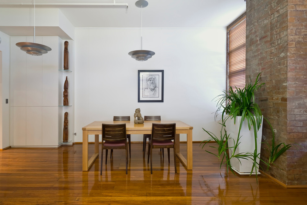 This is an example of a mid-sized modern dining room in Sydney with white walls and medium hardwood floors.