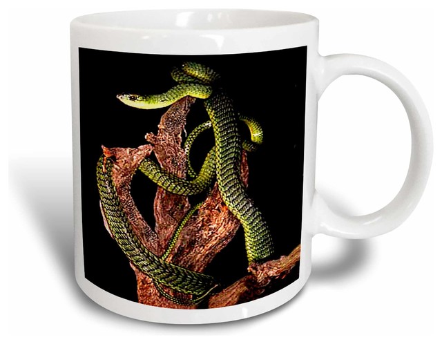 Snake zzz 11 OZ Ceramic Coffee Mug or Tea Cup 