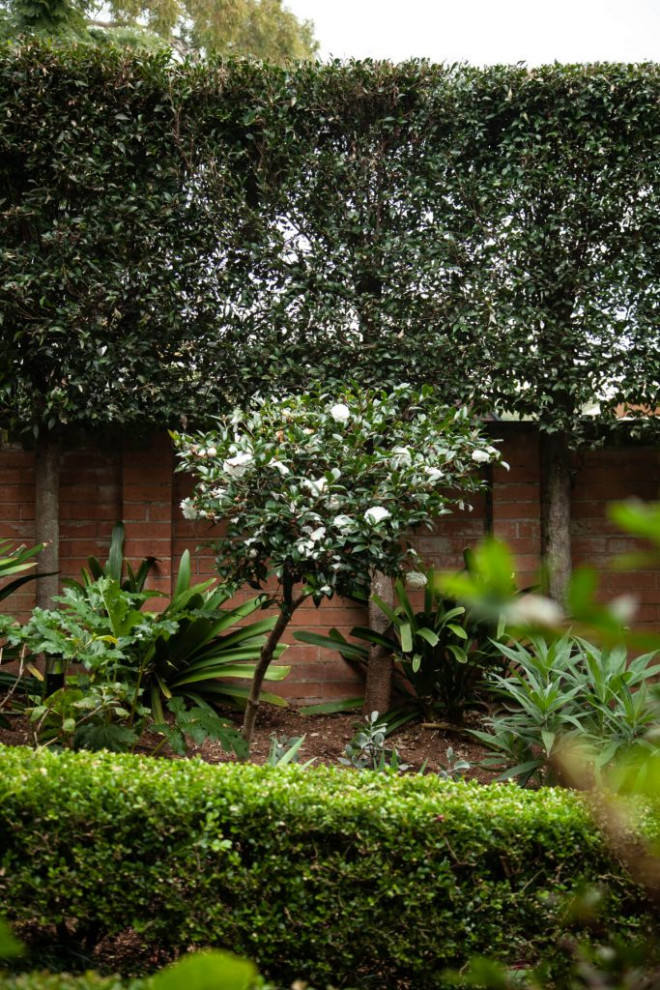 Idee per un giardino mediterraneo esposto a mezz'ombra di medie dimensioni e in cortile in primavera con pavimentazioni in cemento e recinzione in legno