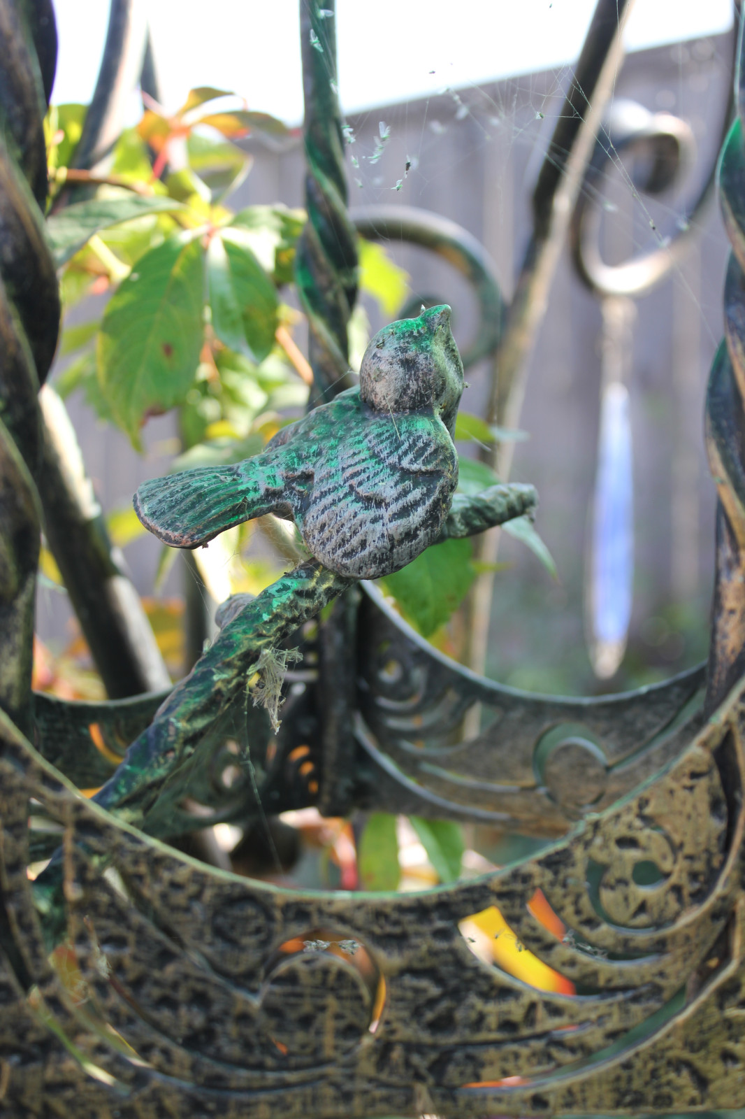 В гостях у Сказки