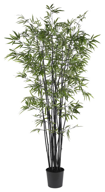 6.5' Black Bamboo Silk Tree