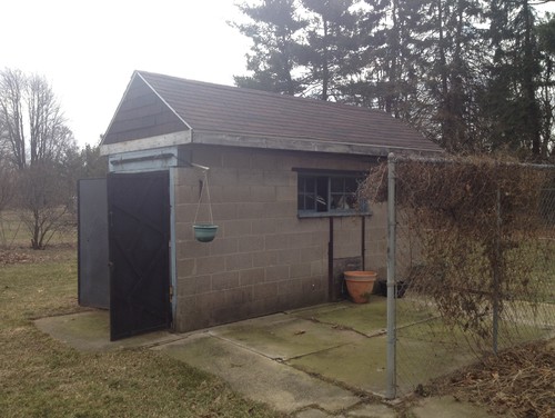 Eyesore of a shed. Paint color ideas?