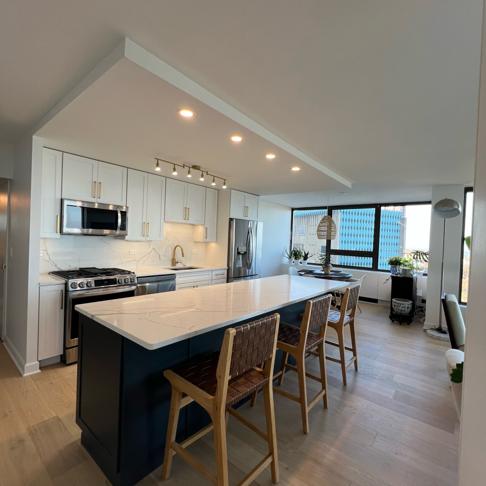 Transitional kitchen photo in Chicago