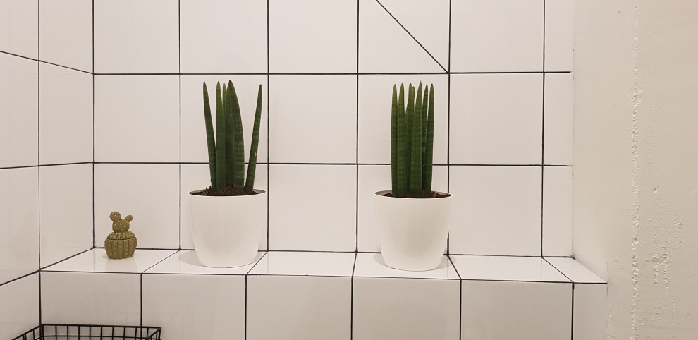 Озеленение офиса