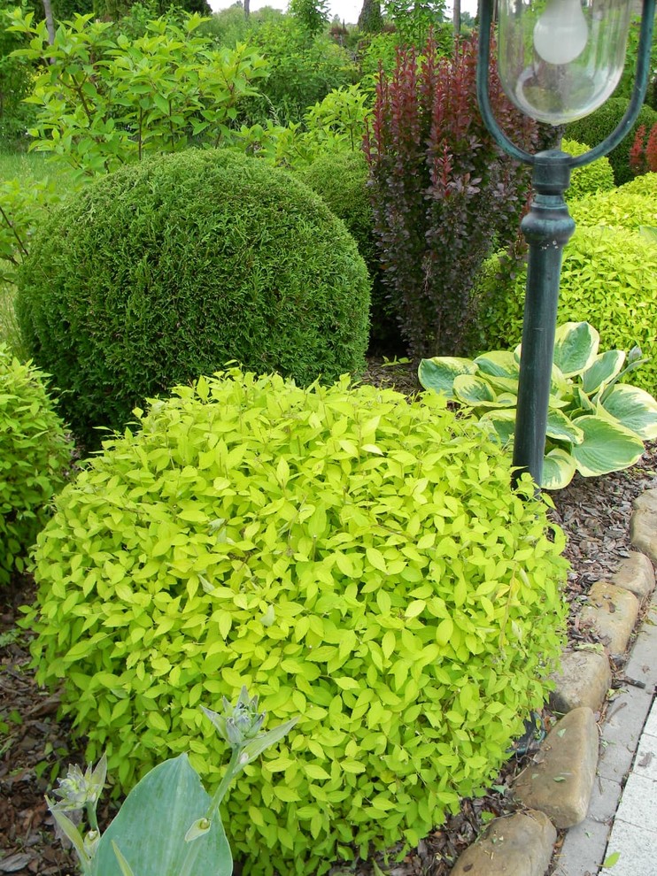 Примеры работ