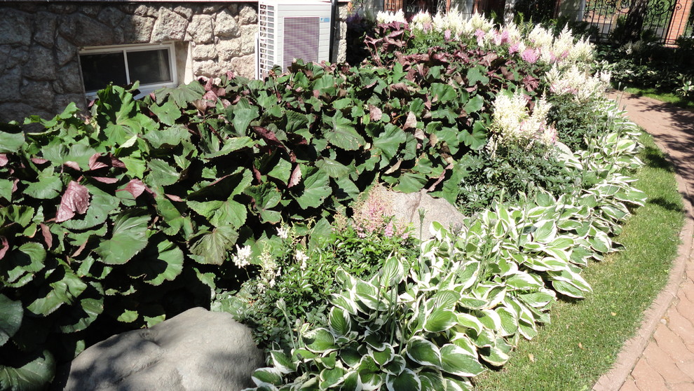 Теневые Сады