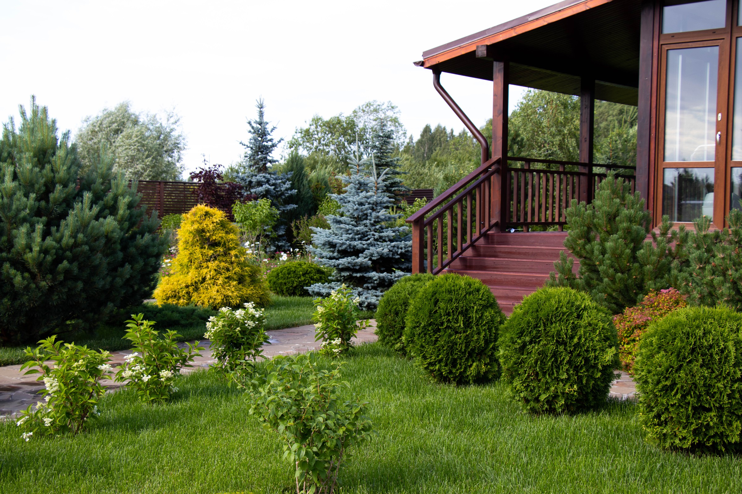 Сосновые берега