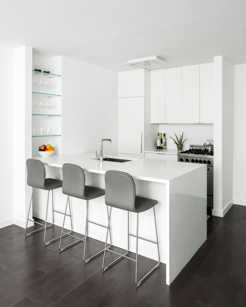 Design ideas for a modern kitchen in New York.
