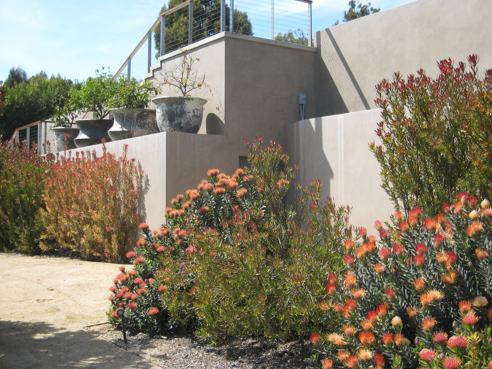 Inspiration for a mid-sized modern backyard full sun garden for summer in Los Angeles with a retaining wall.