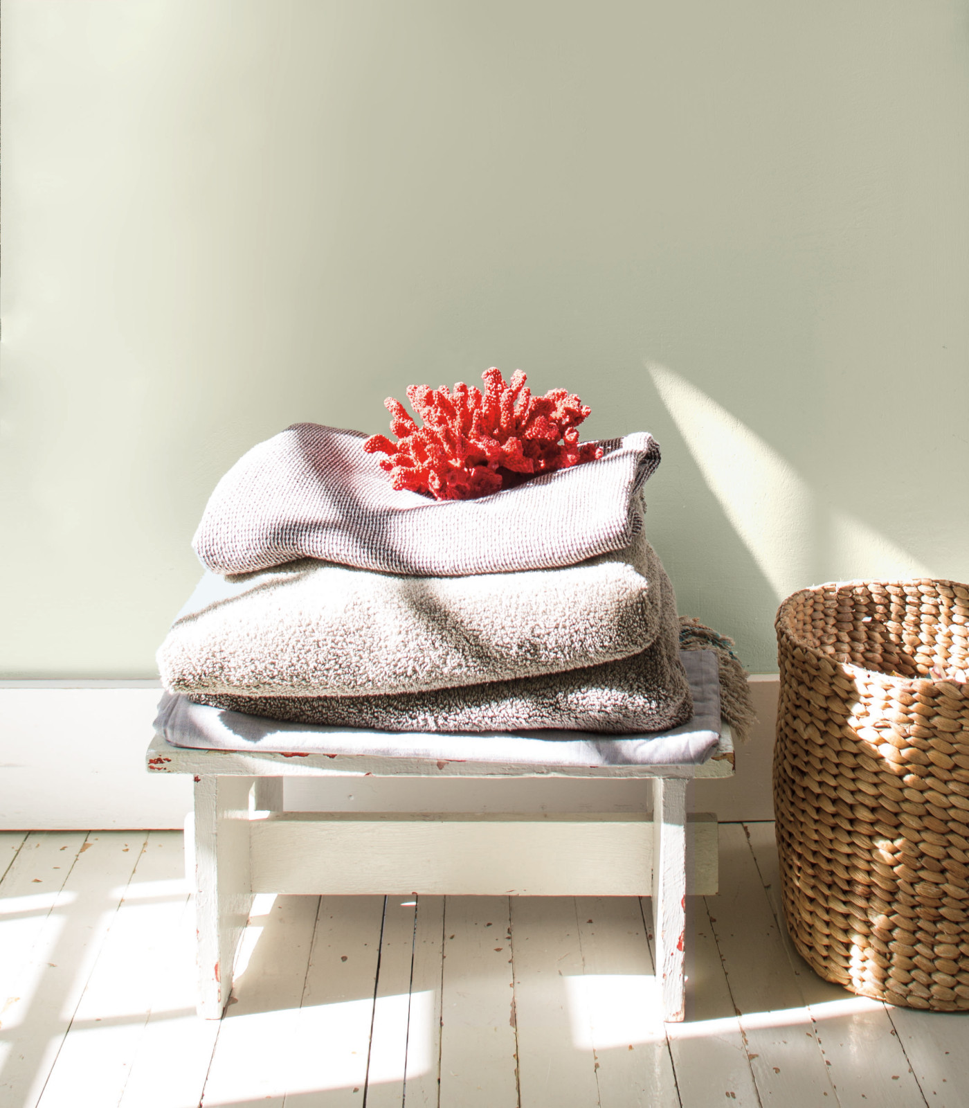 Цвет года 2018 (Caliente AF-290)