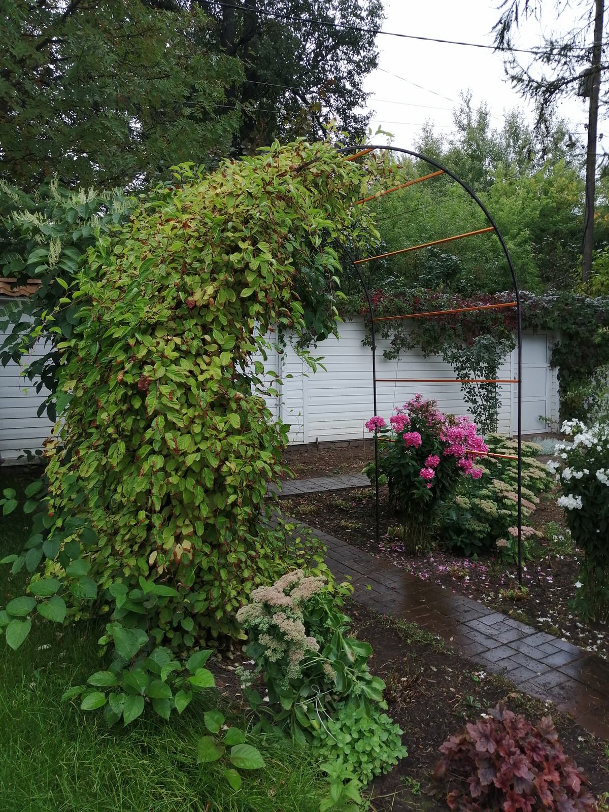 Идеи оформления арок "Найди"