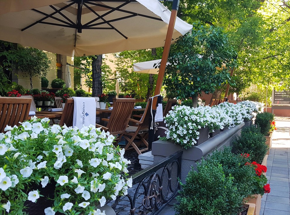 ресторан Аист на Малой Бронной