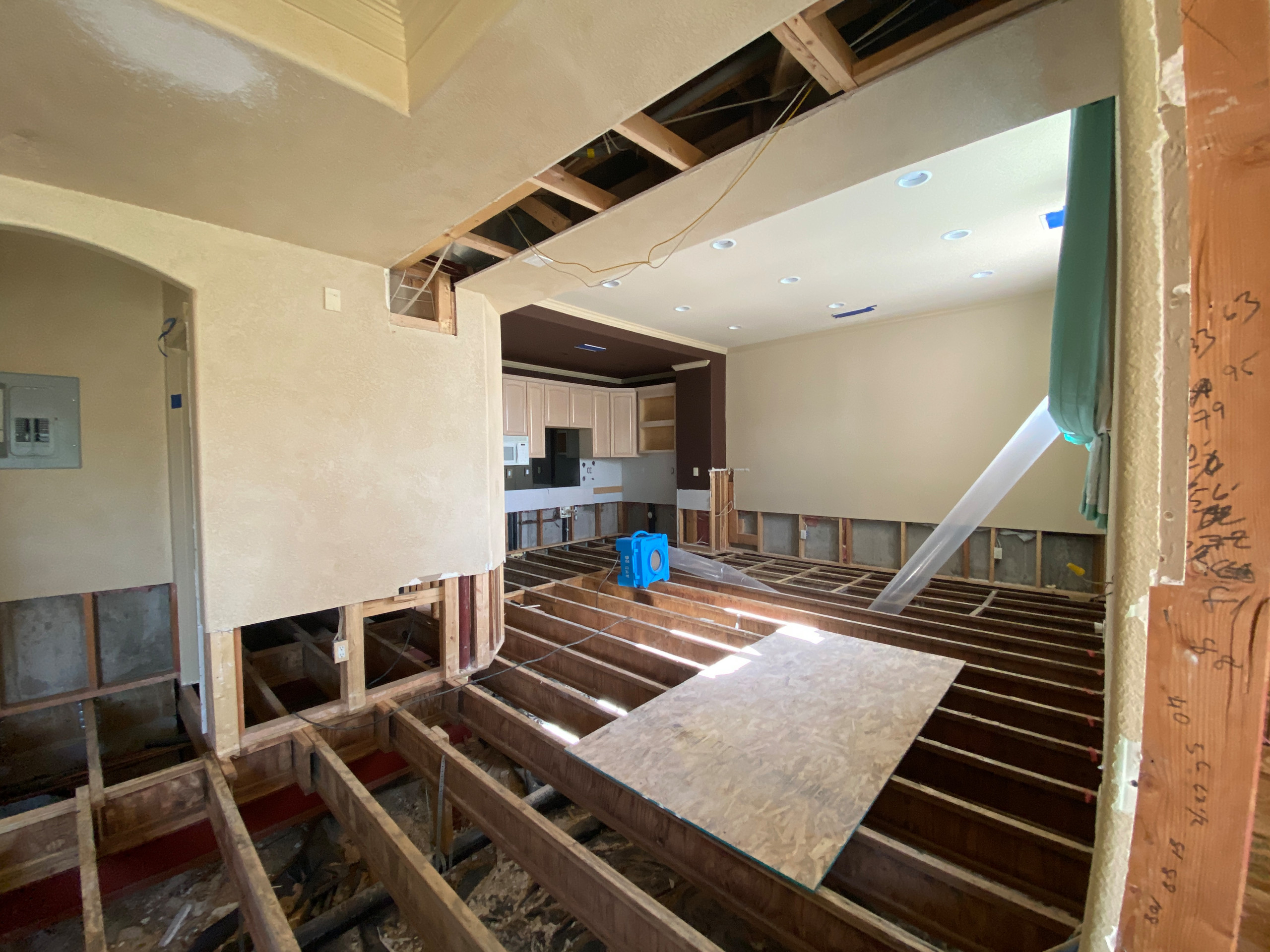 Lone Tree Restoration