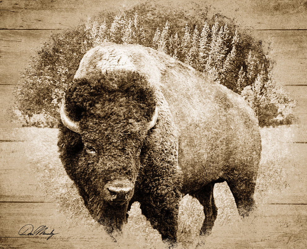 skech bison