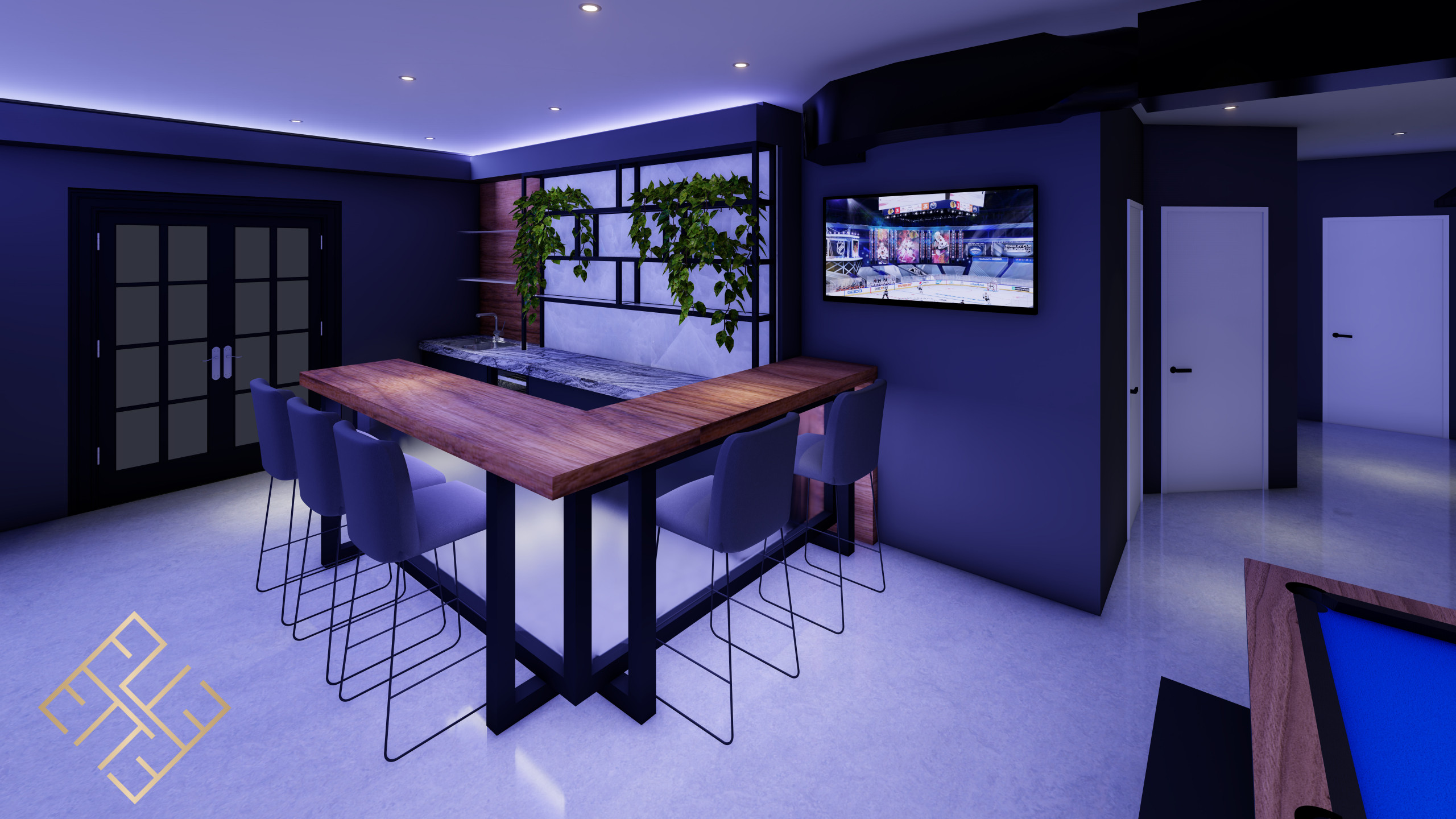 Basement Transformation