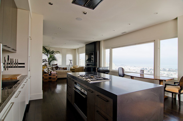 Penthouse Conversion contemporary-kitchen