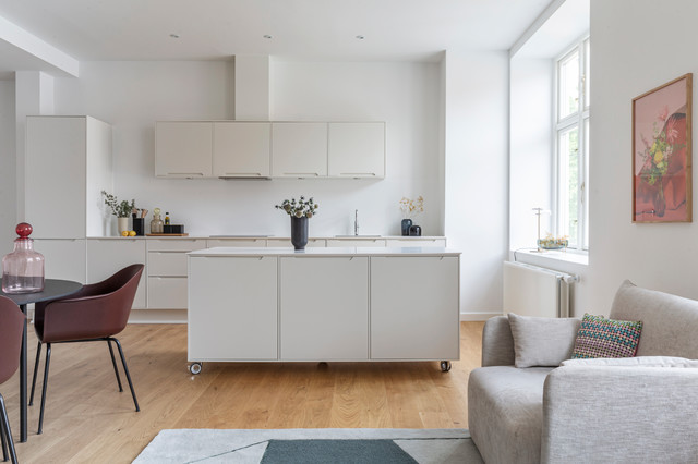 Genbolejlighed til Glyptoteket scandinavian-kitchen