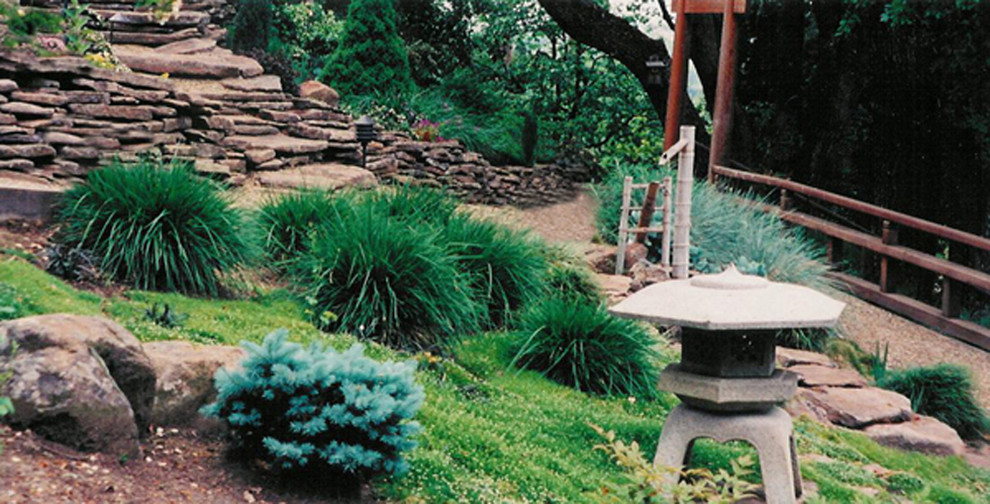 Large asian backyard partial sun formal garden in San Francisco with a garden path and gravel.