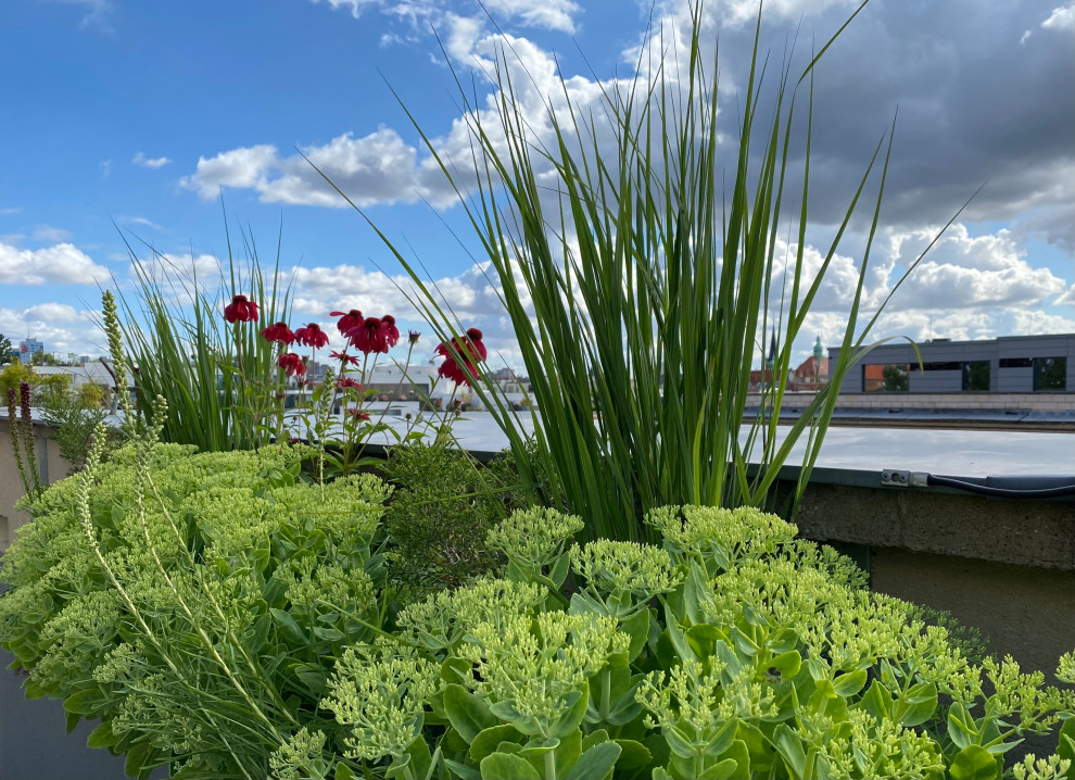 Moderner Balkon in Berlin